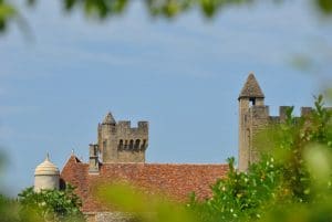 Domaine De Fromengal : Dsc 2461