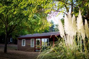 Domaine De Fromengal : Detente Plus Exterieur Arboré