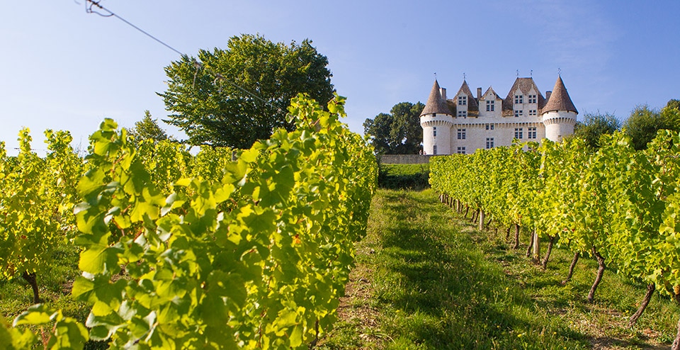 Domaine De Fromengal : Chateau Et Vignobles De Monbazillac