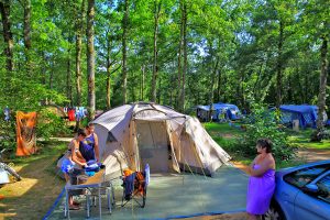 Domaine De Fromengal : Emplacement Camping Dordogne