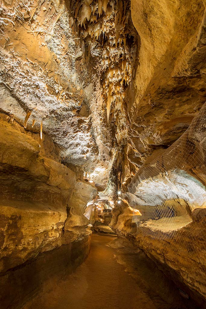 Domaine De Fromengal : Grottes De Maxange 09
